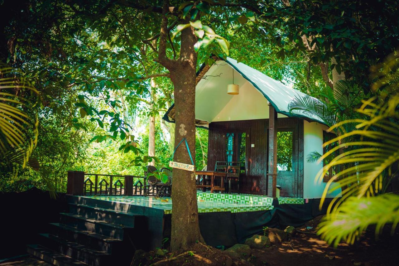 La La Land Resort Goa By Spicy Mango Palolem Eksteriør bilde